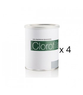 4 pots offerts pour 36 pots et plus  VER011 achetés