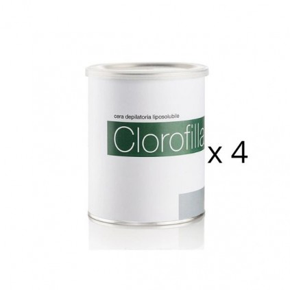 4 pots offerts pour 36 pots et plus  VER011 achetés