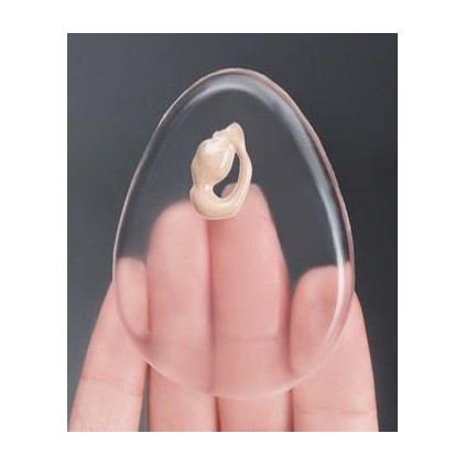 Eponge  Maquillage Silicone