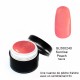 Gel Couleur Lipstick Swatch 5 grs