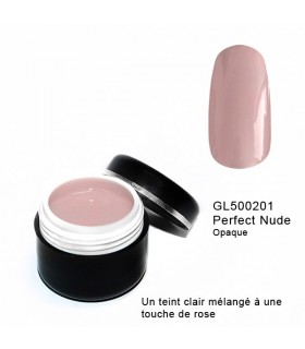 Gel Couleur perfect Nude 5 grs
