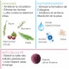 Enveloppement Corps Parfait Lift & Sculpt